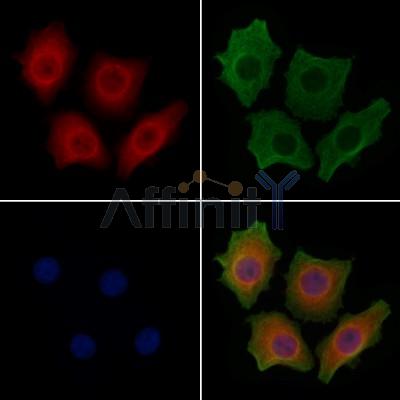 Валидация Affinity DF6009 - 17231