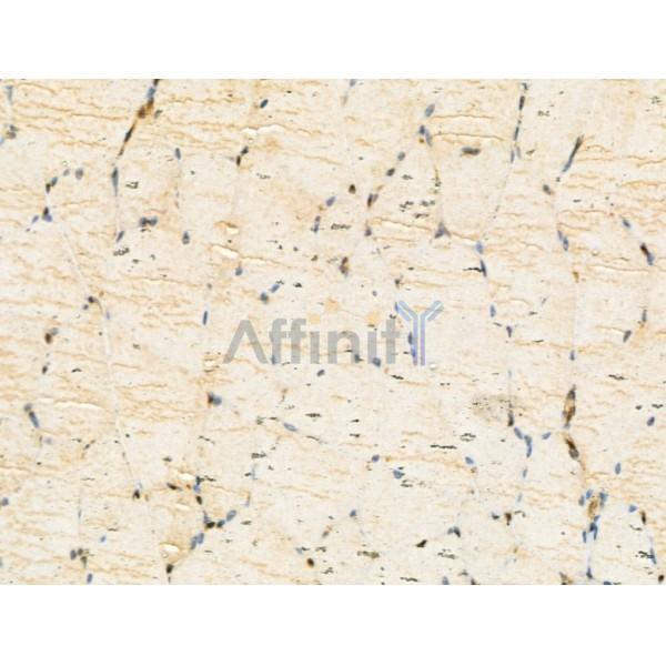 Валидация Affinity DF13072 - 7940