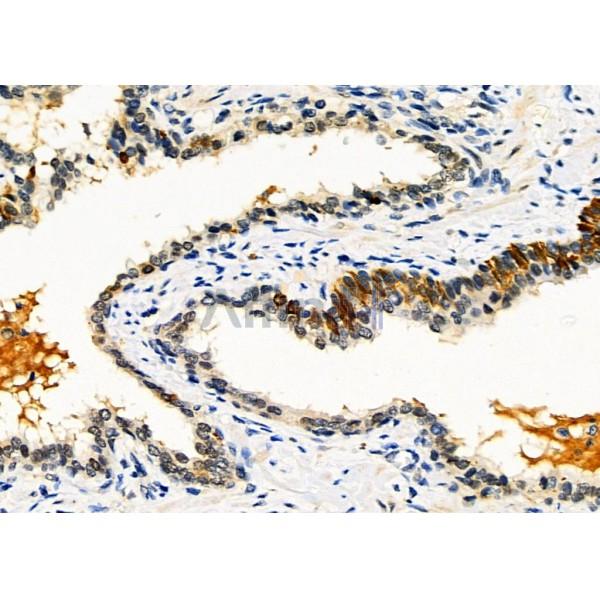 Валидация Affinity AF4072 - 2137