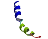 Chemokine C-C-Motif Receptor 7 (CCR7) Chemokine C-C-Motif Receptor 7 (CCR7)