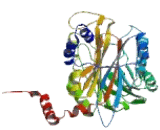 Ureidopropionase Beta (UPb1)