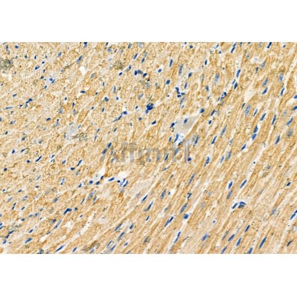 Валидация Affinity DF8920 - 21055