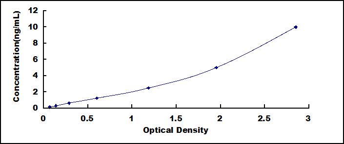 52131