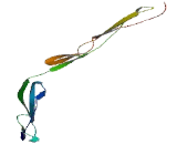 Semaphorin 5A (SEMA5A) Semaphorin 5A (SEMA5A)