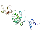 G Protein Coupled Receptor 156 (GPR156) G Protein Coupled Receptor 156 (GPR156)
