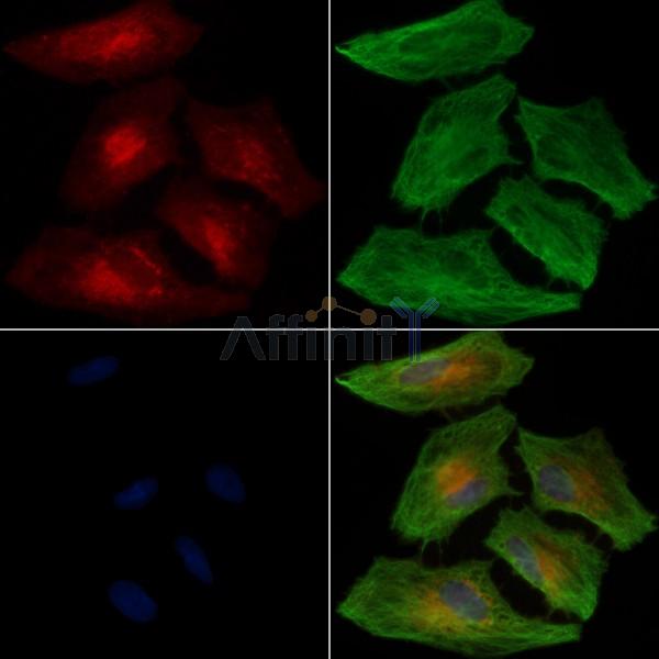 Валидация Affinity DF7933 - 19770