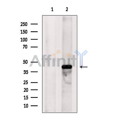 Валидация Affinity DF9739 - 22545