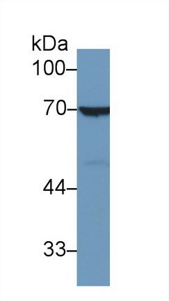 13739