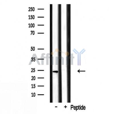 Валидация Affinity DF3699 - 14727