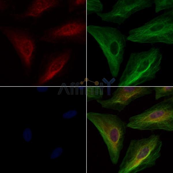 Валидация Affinity DF8431 - 20311