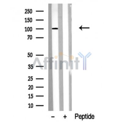 Валидация Affinity DF10320 - 5940