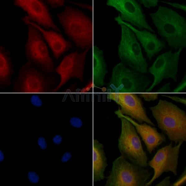 Валидация Affinity DF8134 - 19987