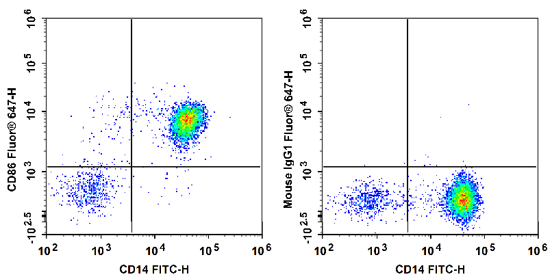 Валидация AssayVector FCM - FCE1553 (1636)