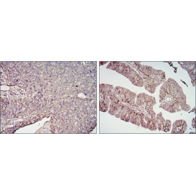 Валидация Affinity BF0660 - 5355