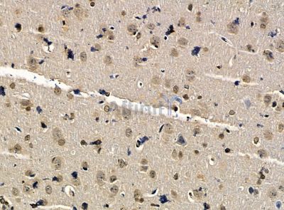 Валидация Affinity DF14314 - 10208