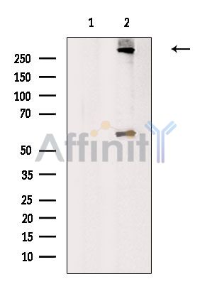 Валидация Affinity AF6603 - 3904