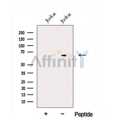 Валидация Affinity DF12993 - 7774
