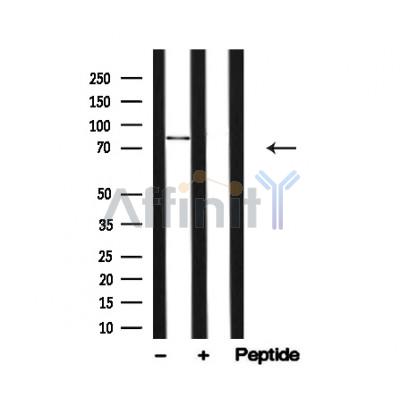 Валидация Affinity AF4772 - 2391