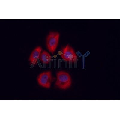 Валидация Affinity DF2306 - 12869