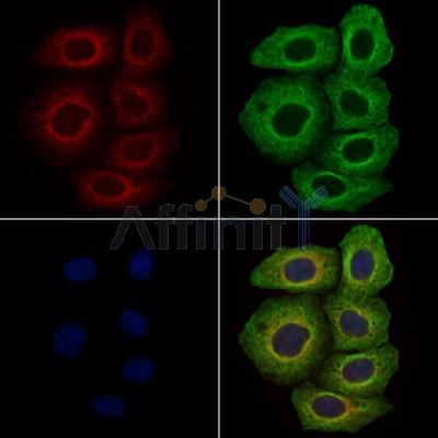 Валидация Affinity AF6361 - 3654