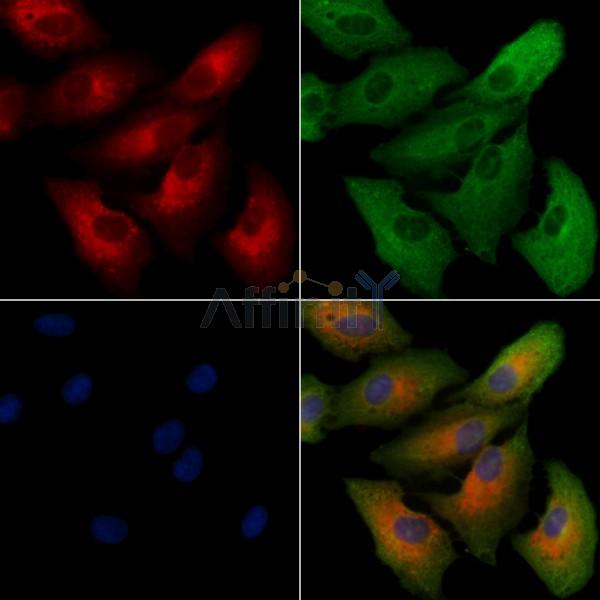 Валидация Affinity DF9324 - 21799