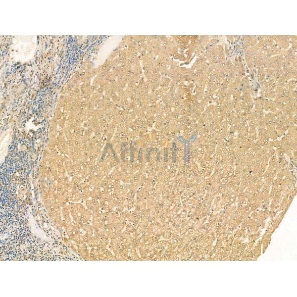 Валидация Affinity DF13278 - 8386