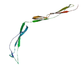 Semaphorin 5B (SEMA5B) Semaphorin 5B (SEMA5B)