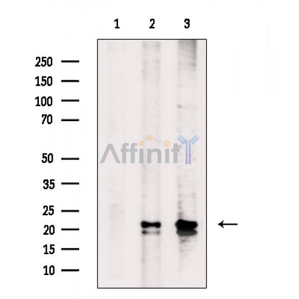 Валидация Affinity DF9949 - 22957