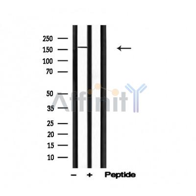 Валидация Affinity AF4737 - 2356