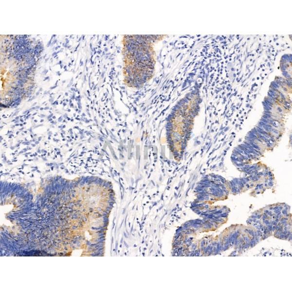 Валидация Affinity DF13501 - 8889