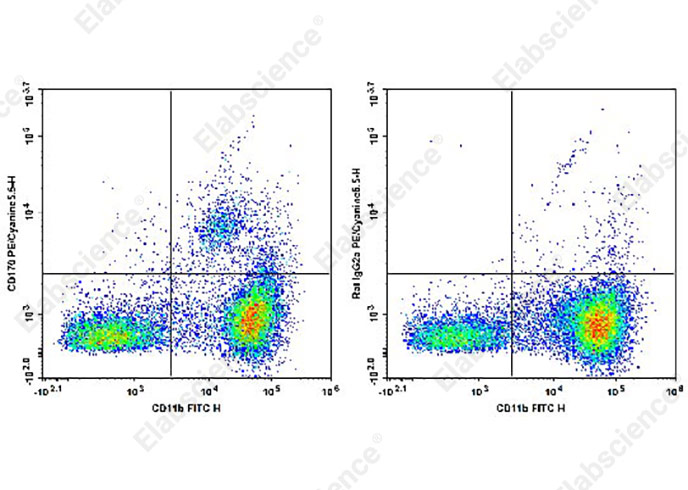 Валидация Elabscience AN00629J