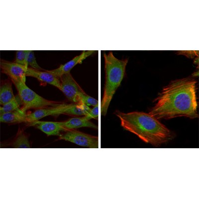 Валидация Affinity BF0695 - 5370