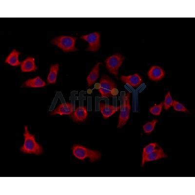 Валидация Affinity DF12229 - 6521