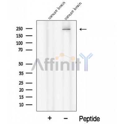 Валидация Affinity DF12696 - 7356