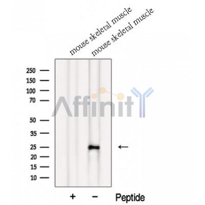 Валидация Affinity DF12664 - 7315