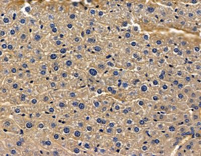 Валидация Affinity DF15725 - 12196