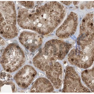 Валидация Affinity AF5130 - 2509