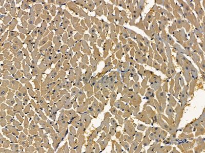 Валидация Affinity DF16088 - 12653