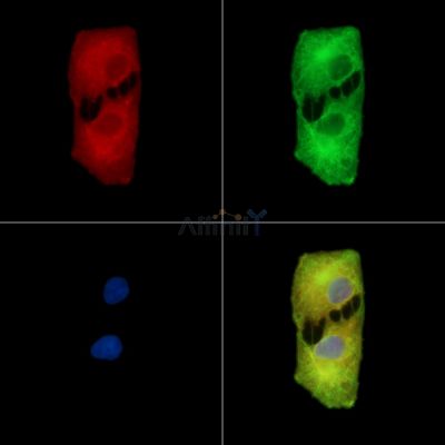 Валидация Affinity DF14520 - 10507