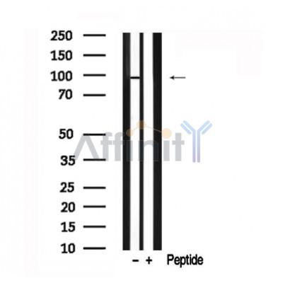 Валидация Affinity AF7608 - 4278