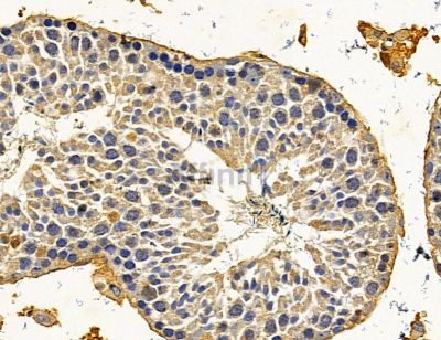 Валидация Affinity DF14563 - 10560