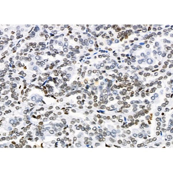 Валидация Affinity DF4877 - 16662