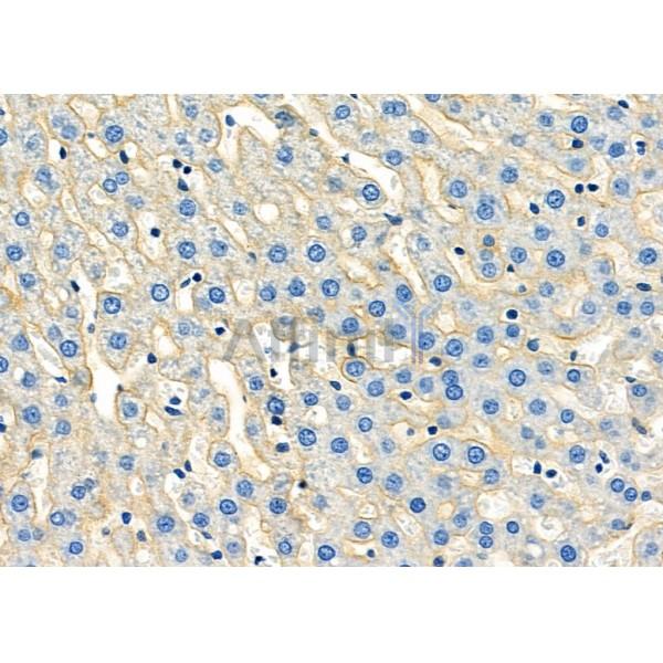 Валидация Affinity DF3527 - 14465