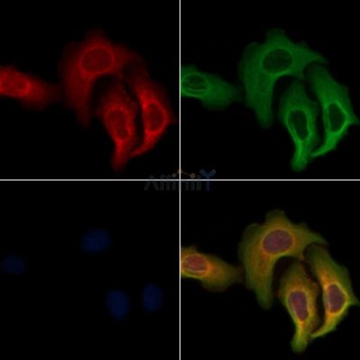 Валидация Affinity AF6531 - 3852