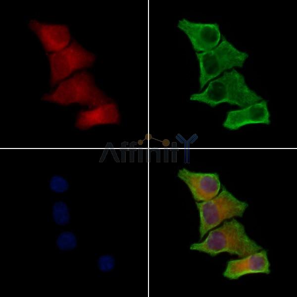 Валидация Affinity DF2381 - 12968