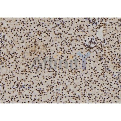 Валидация Affinity DF12069 - 6139