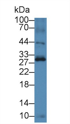 8609
