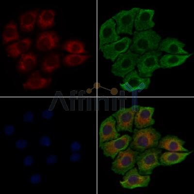 Валидация Affinity DF3684 - 14700