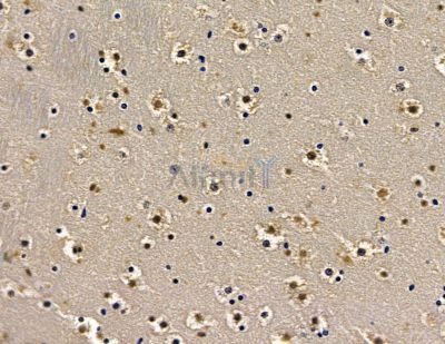 Валидация Affinity DF15890 - 12403