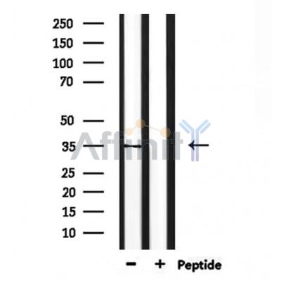 Валидация Affinity DF10302 - 5917